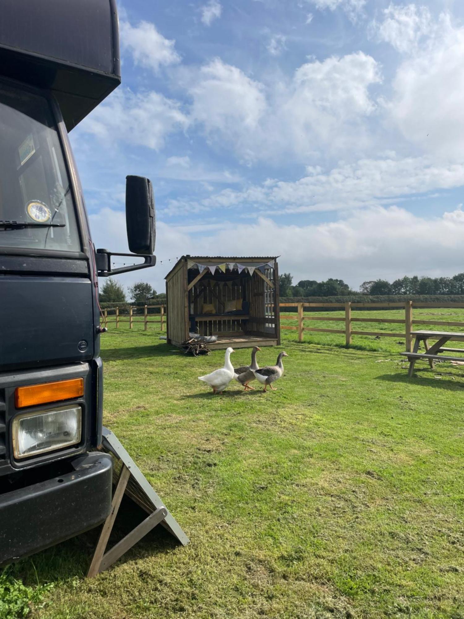 North Yorkshire Horse Box Tenda mewah