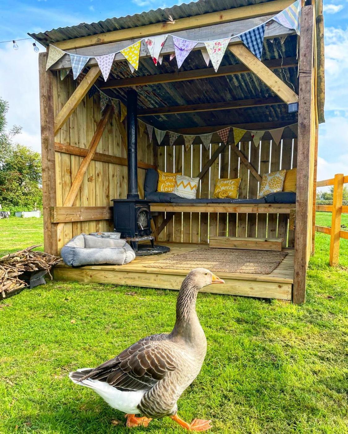 North Yorkshire Horse Box Tenda mewah